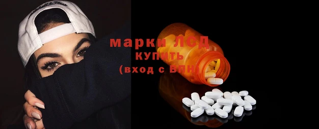 гидра Володарск