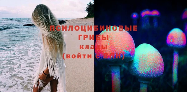 гидра Володарск