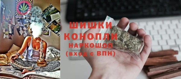 гидра Володарск
